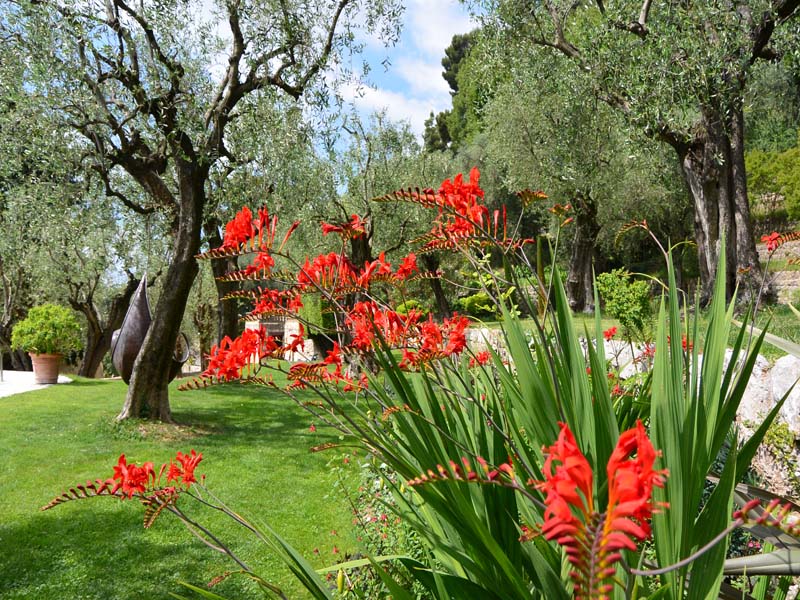 Domaine de la Mouissone_06130 GRASSE_10